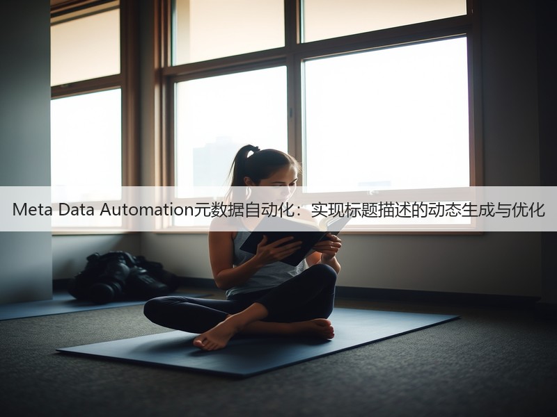 Meta Data Automation元数据自动化：实现标题描述的动态生成与优化(图3)
