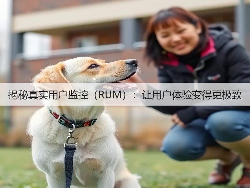 揭秘真实用户监控（RUM）：让用户体验变得更极致(图3)