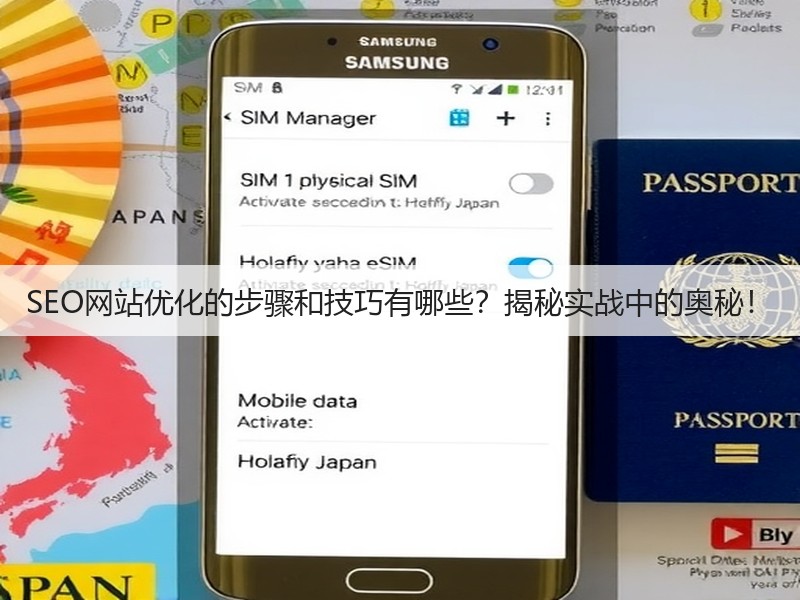 SEO网站优化的步骤和技巧有哪些？揭秘实战中的奥秘！(图2)