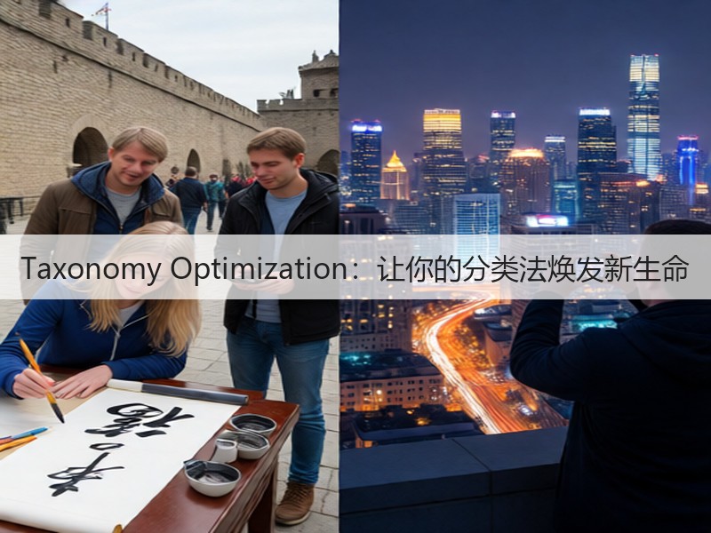 Taxonomy Optimization：让你的分类法焕发新生命(图3)