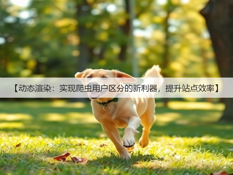 【动态渲染：实现爬虫用户区分的新利器，提升站点效率】(图3)