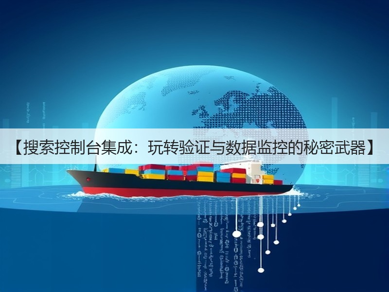 【搜索控制台集成：玩转验证与数据监控的秘密武器】(图3)