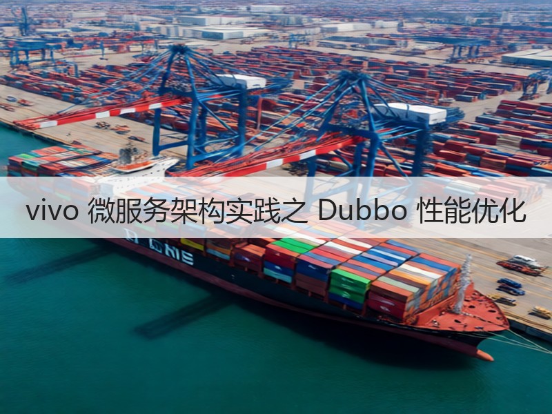 vivo 微服务架构实践之 Dubbo 性能优化