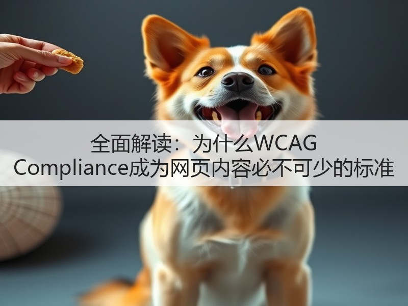 全面解读：为什么WCAG Compliance成为网页内容必不可少的标准(图2)