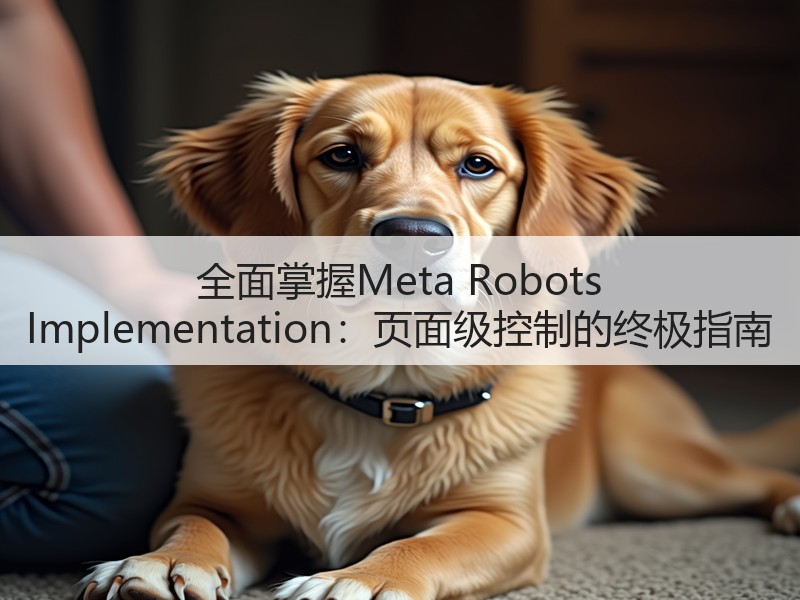 全面掌握Meta Robots Implementation：页面级控制的终极指南(图1)