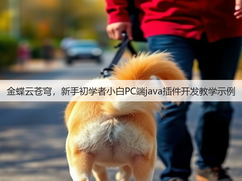 金蝶云苍穹，新手初学者小白PC端java插件开发教学示例(图3)