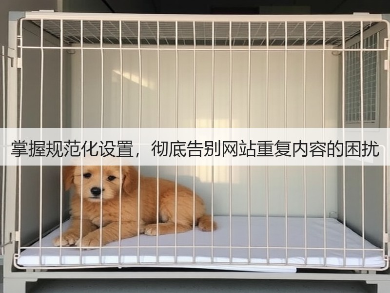掌握规范化设置,彻底告别网站重复内容的困扰(图2) 掌握规范化设置,彻底告别网站重复内容的困扰(图2)