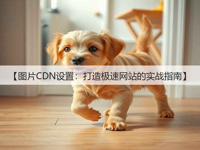【图片CDN设置:打造极速网站的实战指南】(图3) 【图片CDN设置:打造极速网站的实战指南】(图3)
