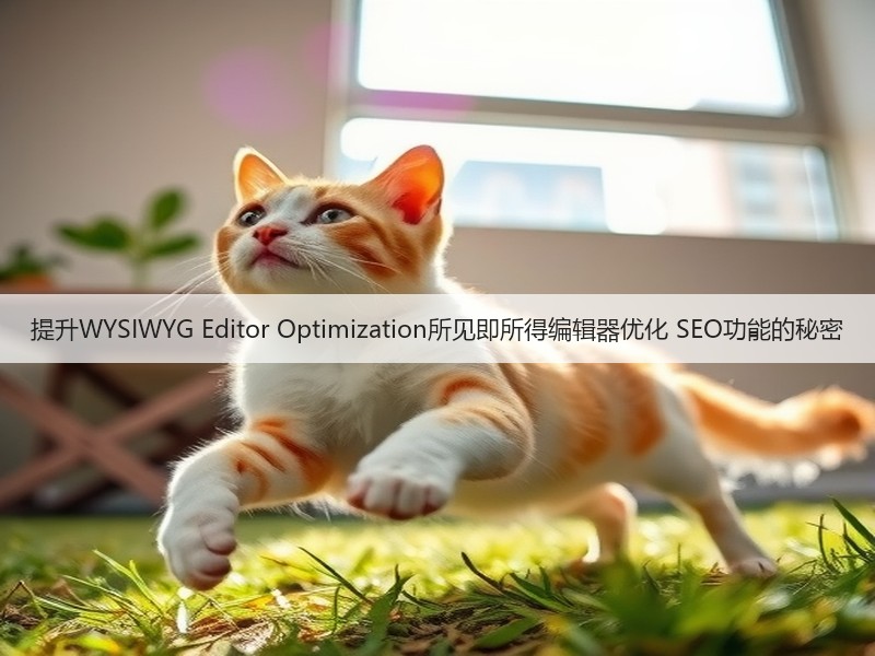 提升WYSIWYG Editor Optimization所见即所得编辑器优化 SEO功能的秘密(图2) 提升WYSIWYG Editor Optimization所见即所得编辑器优化 SEO功能的秘密(图2)