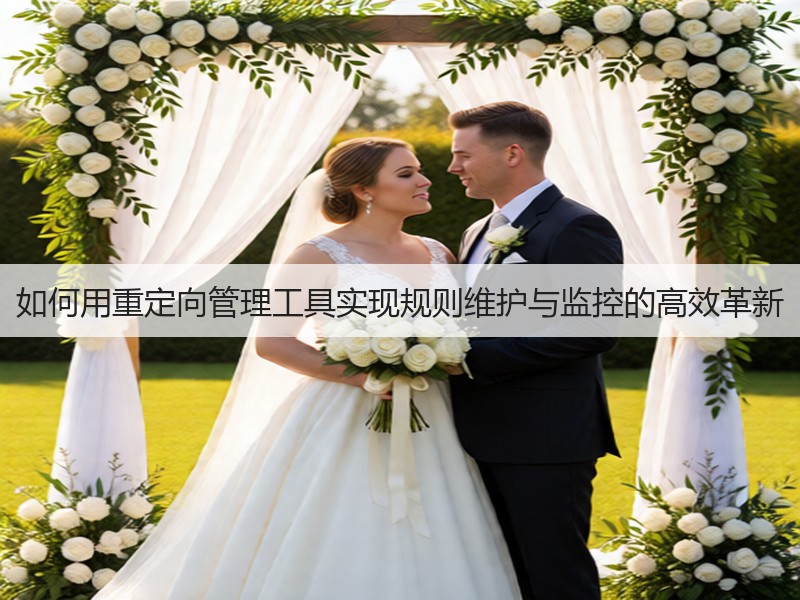 如何用重定向管理工具实现规则维护与监控的高效革新(图2) 如何用重定向管理工具实现规则维护与监控的高效革新(图2)