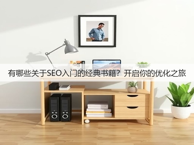有哪些关于SEO入门的经典书籍？开启你的优化之旅(图2)