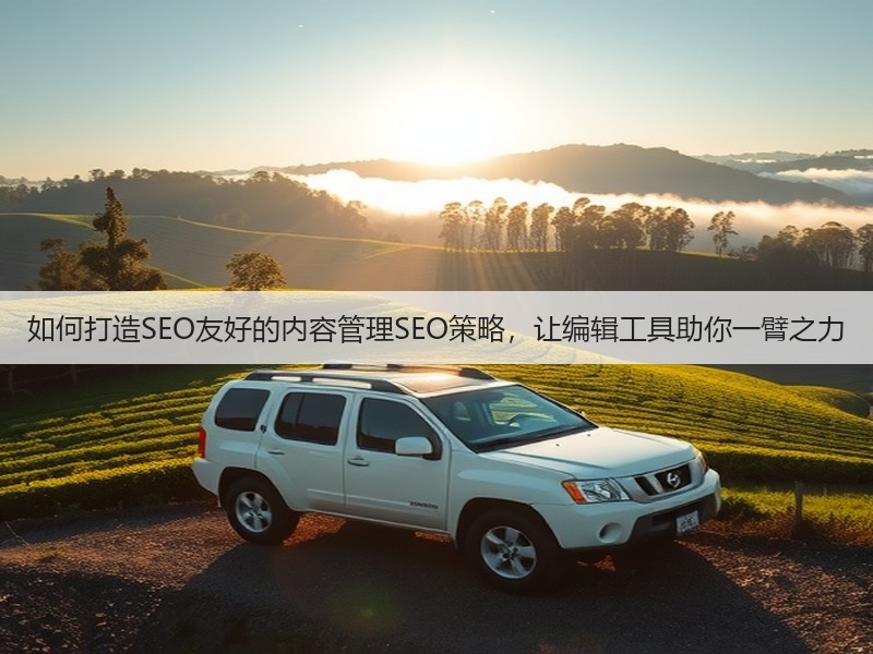 如何打造SEO友好的内容管理SEO策略,让编辑工具助你一臂之力(图2) 如何打造SEO友好的内容管理SEO策略,让编辑工具助你一臂之力(图2)