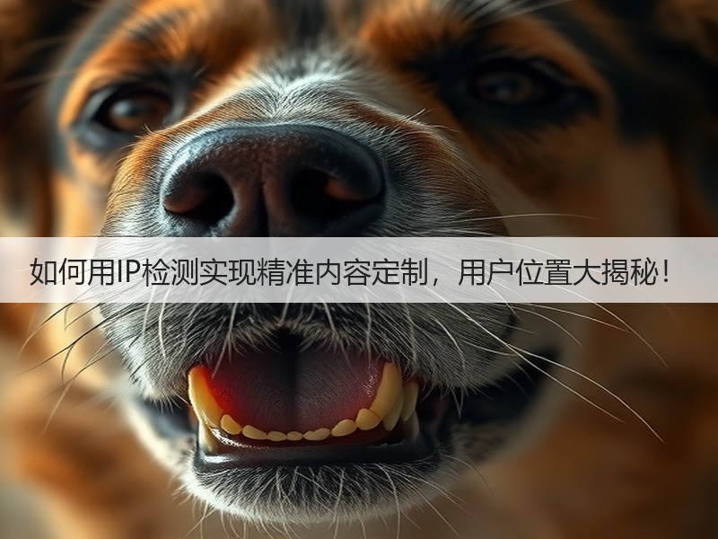 如何用IP检测实现精准内容定制,用户位置大揭秘!(图3) 如何用IP检测实现精准内容定制,用户位置大揭秘!(图3)