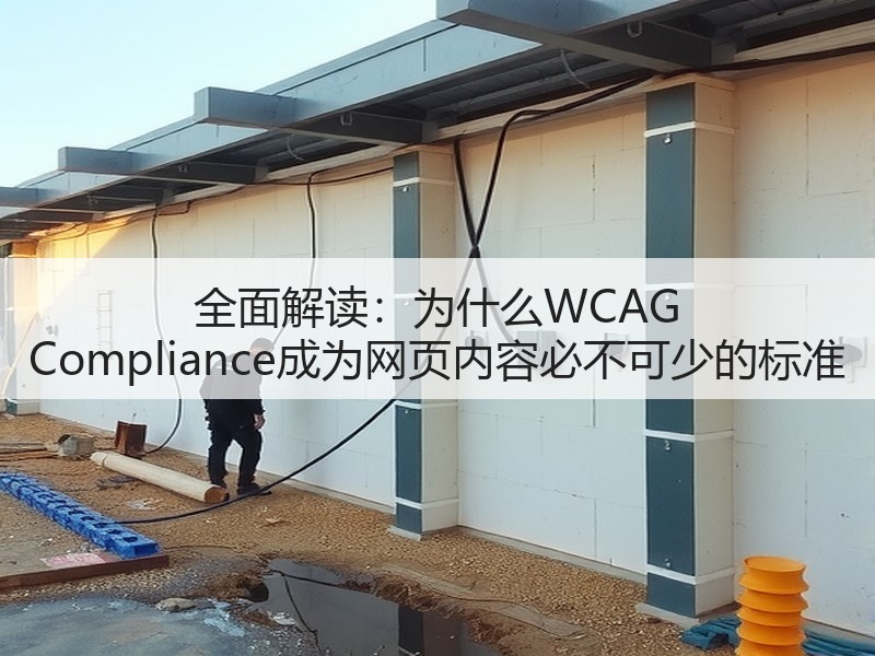 全面解读：为什么WCAG Compliance成为网页内容必不可少的标准(图3)