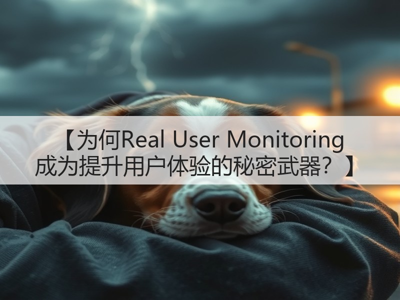 【为何Real User Monitoring 成为提升用户体验的秘密武器?】(图3) 【为何Real User Monitoring 成为提升用户体验的秘密武器?】(图3)
