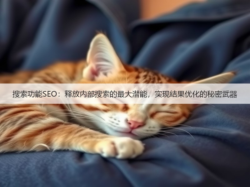 搜索功能SEO：释放内部搜索的最大潜能，实现结果优化的秘密武器(图1)