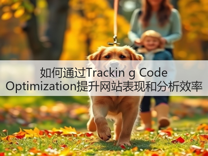 如何通过Trackin g Code Optimization提升网站表现和分析效率(图3)