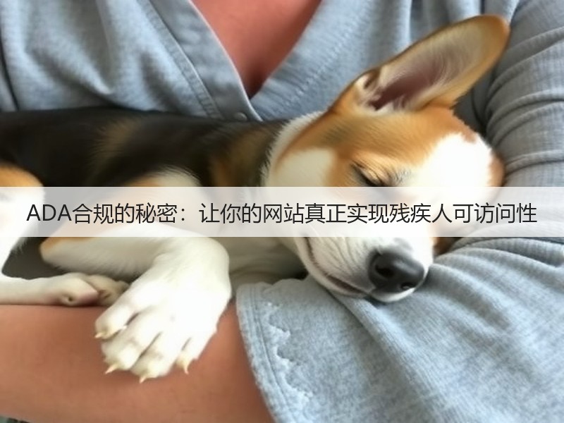 ADA合规的秘密:让你的网站真正实现残疾人可访问性(图2) ADA合规的秘密:让你的网站真正实现残疾人可访问性(图2)