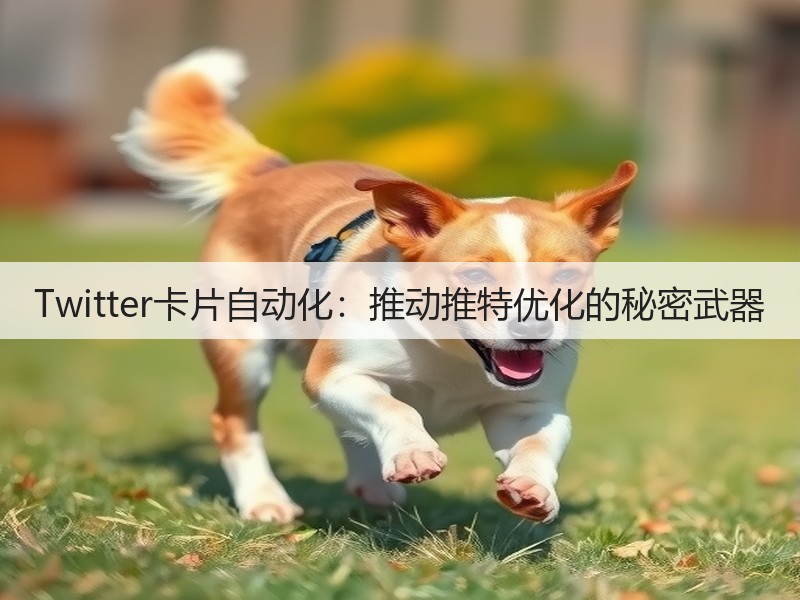 Twitter卡片自动化:推动推特优化的秘密武器(图3) Twitter卡片自动化:推动推特优化的秘密武器(图3)