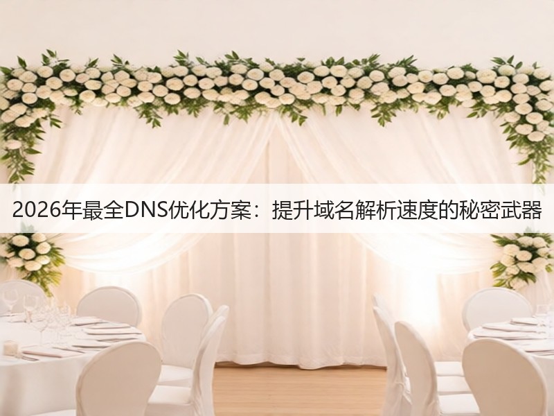 2026年最全DNS优化方案：提升域名解析速度的秘密武器(图2)