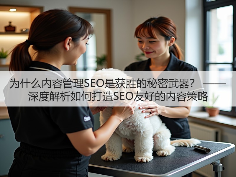 为什么内容管理SEO是获胜的秘密武器？ —— 深度解析如何打造SEO友好的内容策略(图2)