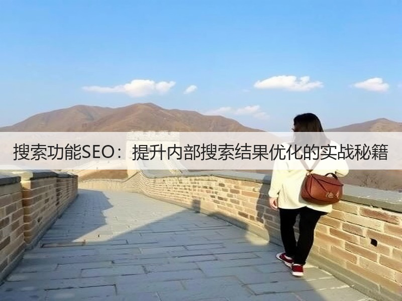搜索功能SEO：提升内部搜索结果优化的实战秘籍(图2)