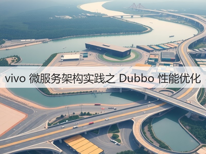 vivo 微服务架构实践之 Dubbo 性能优化(图3)