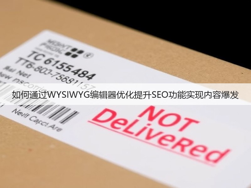 如何通过WYSIWYG编辑器优化提升SEO功能实现内容爆发(图3)
