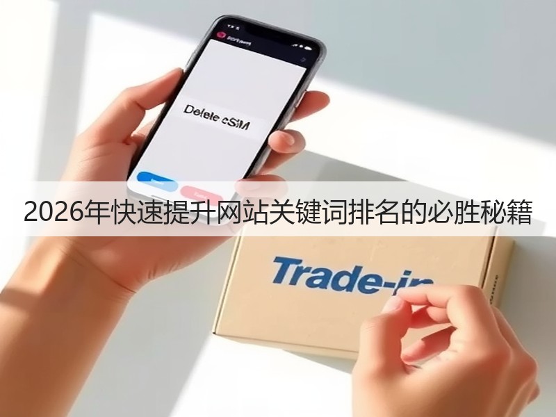 2026年快速提升网站关键词排名的必胜秘籍(图2)
