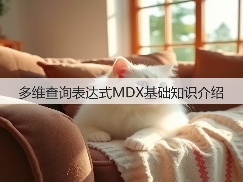多维查询表达式MDX基础知识介绍(图3)
