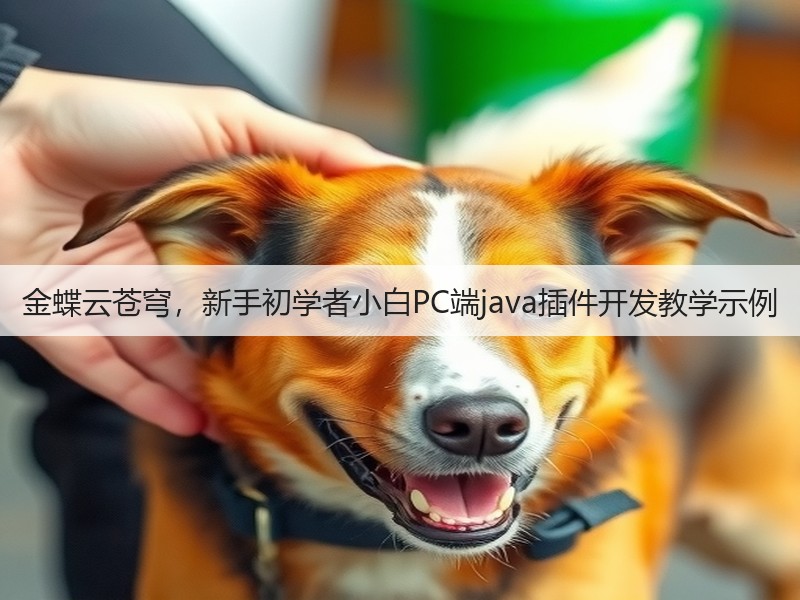 金蝶云苍穹，新手初学者小白PC端java插件开发教学示例(图2)