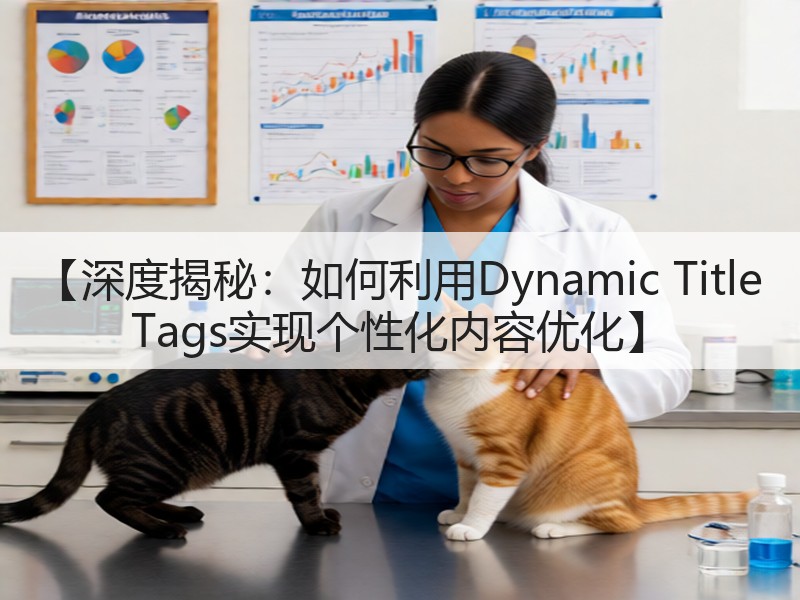 【深度揭秘:如何利用Dynamic Title Tags实现个性化内容优化】(图3) 【深度揭秘:如何利用Dynamic Title Tags实现个性化内容优化】(图3)