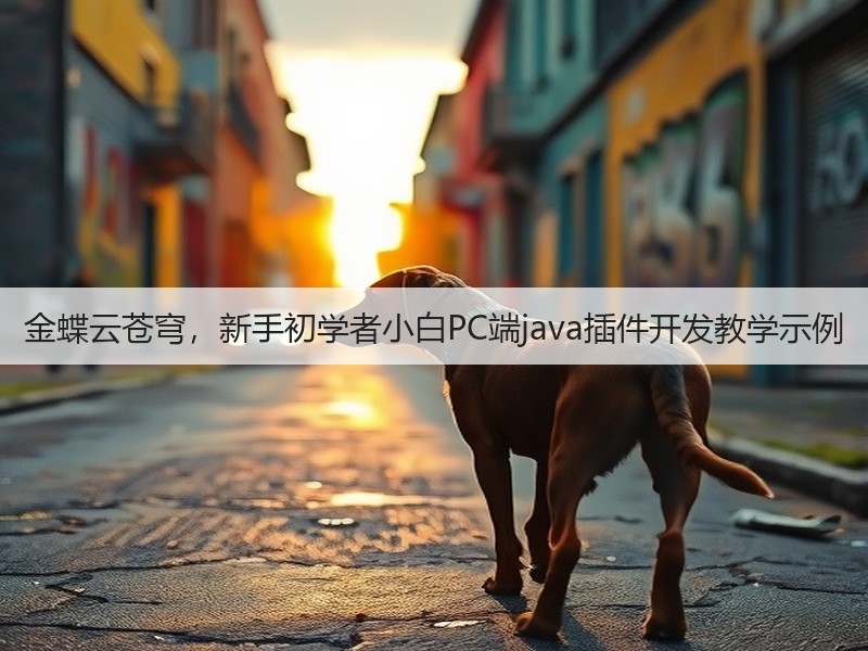 金蝶云苍穹，新手初学者小白PC端java插件开发教学示例(图2)
