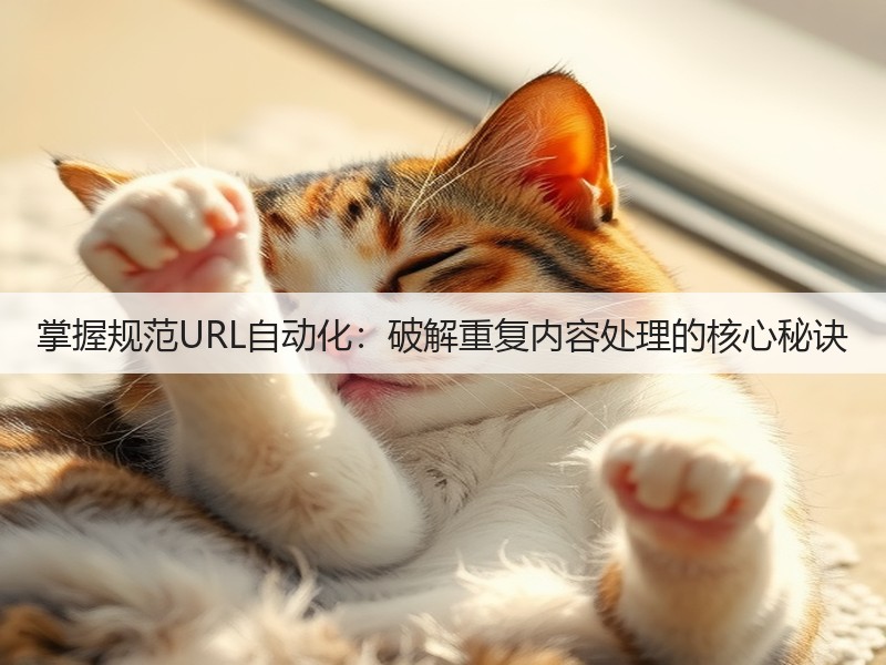 掌握规范URL自动化：破解重复内容处理的核心秘诀(图2)