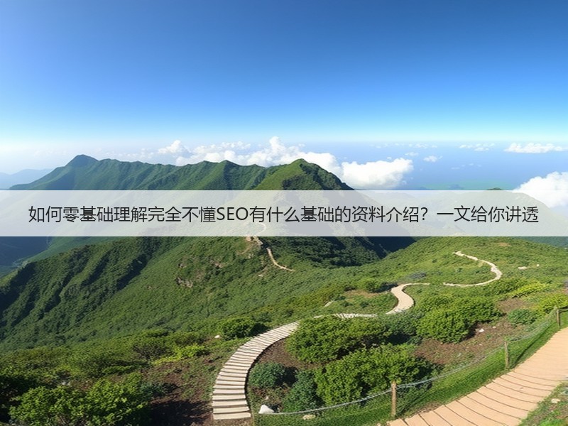 如何零基础理解完全不懂SEO有什么基础的资料介绍？一文给你讲透(图3)