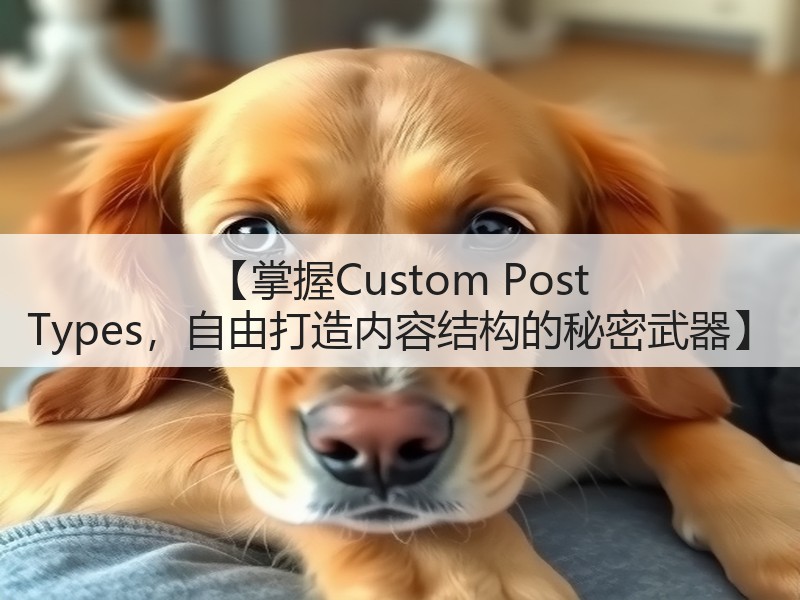 【掌握Custom Post Types，自由打造内容结构的秘密武器】(图2)