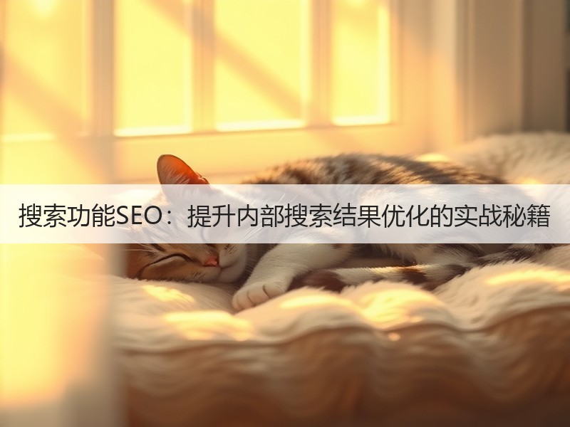 搜索功能SEO：提升内部搜索结果优化的实战秘籍