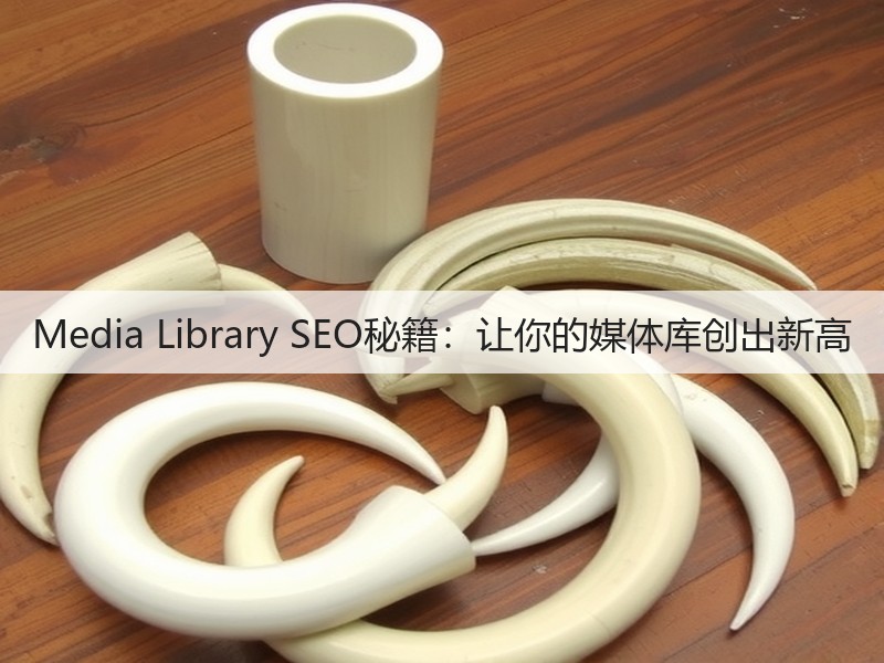 Media Library SEO秘籍：让你的媒体库创出新高(图3)