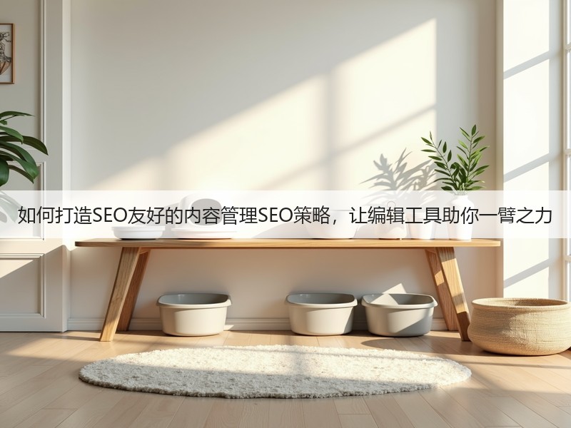 如何打造SEO友好的内容管理SEO策略，让编辑工具助你一臂之力(图2)