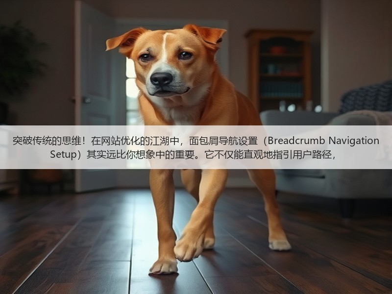 突破传统的思维！在网站优化的江湖中，面包屑导航设置（Breadcrumb Navigation Setup）其实远比你想象中的重要。它不仅能直观地指引用户路径，(图2)