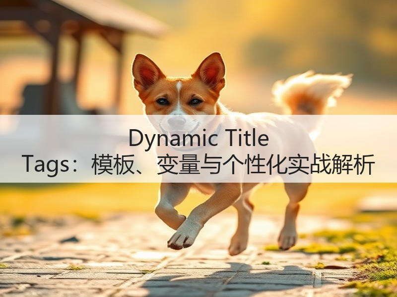 Dynamic Title Tags：模板、变量与个性化实战解析(图3)