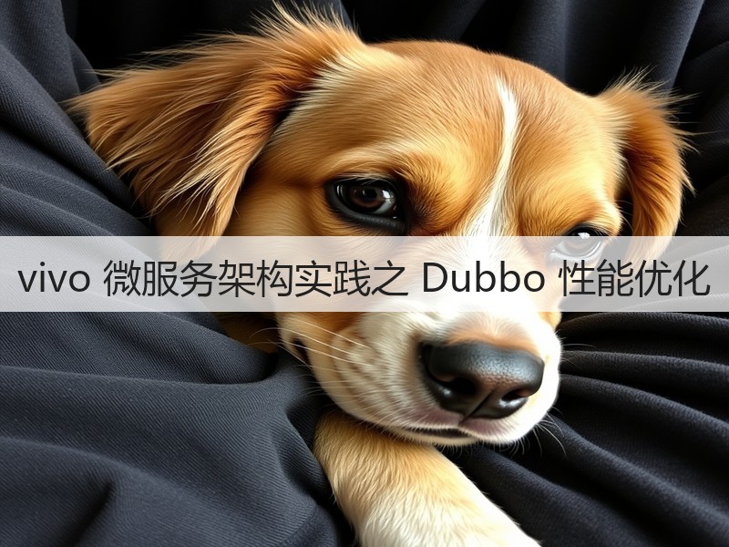 vivo 微服务架构实践之 Dubbo 性能优化(图3)