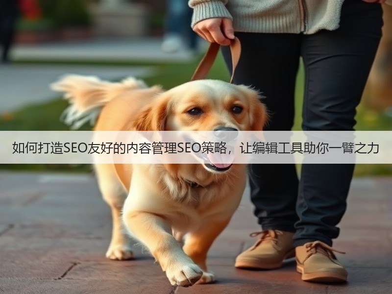 如何打造SEO友好的内容管理SEO策略，让编辑工具助你一臂之力(图1)