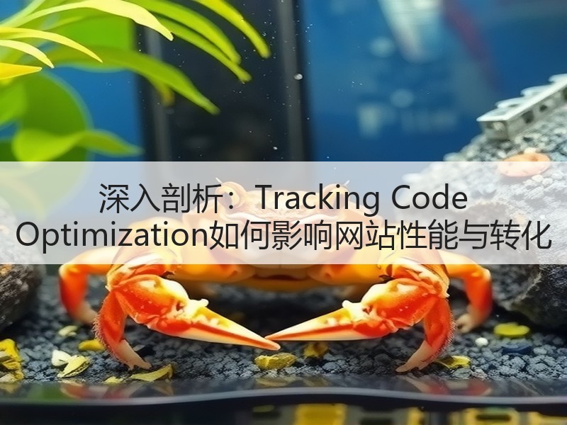深入剖析：Tracking Code Optimization如何影响网站性能与转化