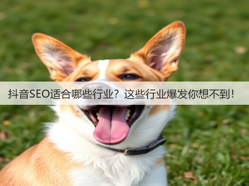 抖音SEO适合哪些行业？这些行业爆发你想不到！(图3)
