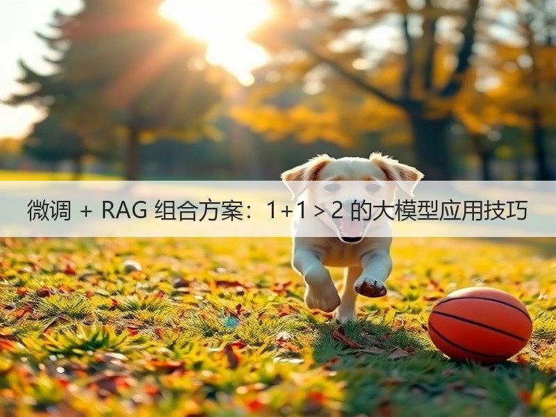 微调 + RAG 组合方案：1+1＞2 的大模型应用技巧