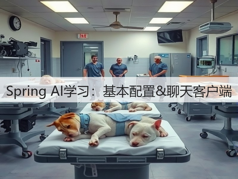 Spring AI学习：基本配置&聊天客户端(图3)