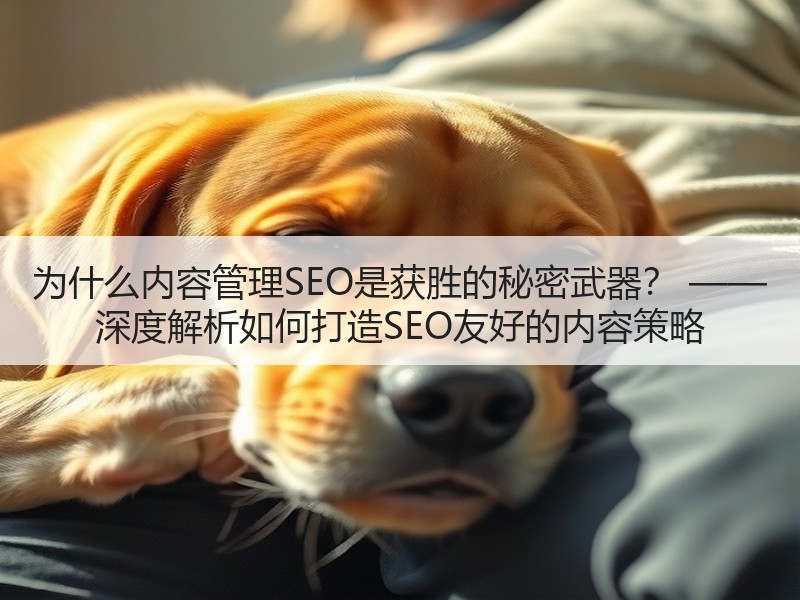 为什么内容管理SEO是获胜的秘密武器？ —— 深度解析如何打造SEO友好的内容策略