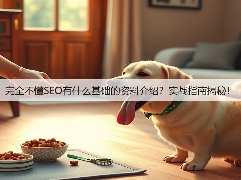 完全不懂SEO有什么基础的资料介绍？实战指南揭秘！(图3)