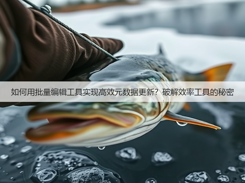 如何用批量编辑工具实现高效元数据更新?破解效率工具的秘密(图3) 如何用批量编辑工具实现高效元数据更新?破解效率工具的秘密(图3)